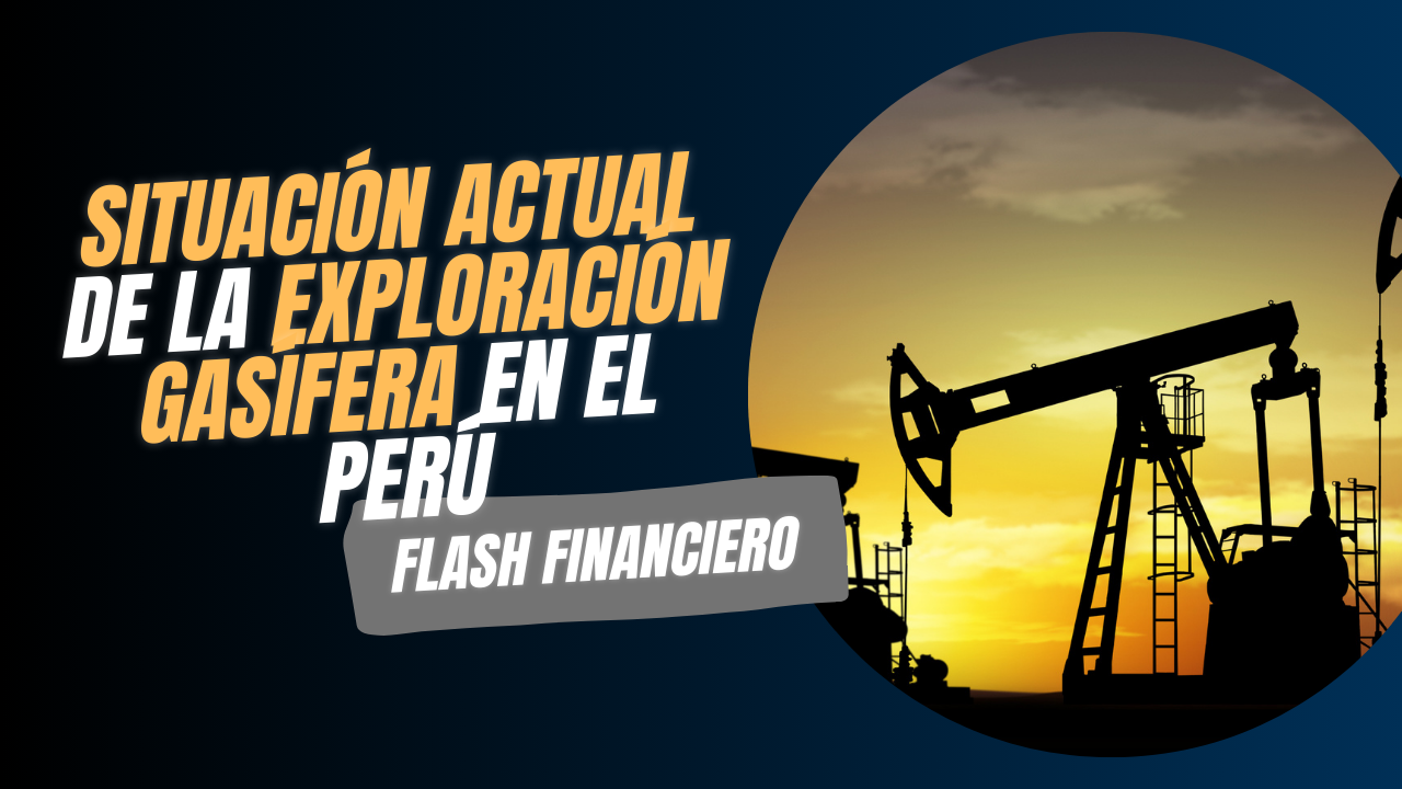 (Cap.8) ¿No se invierte en exploración gasífera hace más de 8 años?